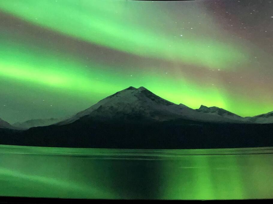 Northern Light Tromsø Exteriér fotografie